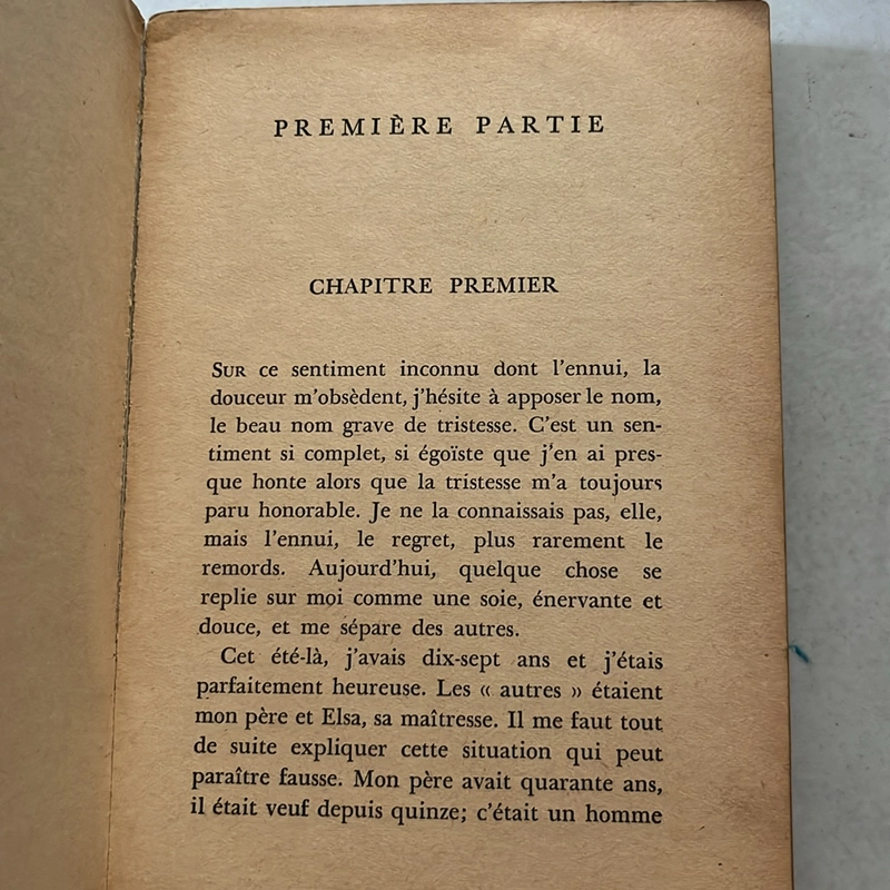 Bonjour Tristesse 509335