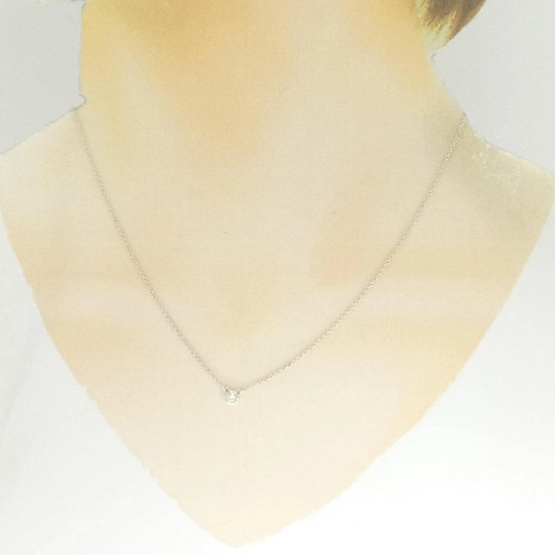 Dây chuyền Tiffany By The Yard - Hàng hiệu Authentic 842318