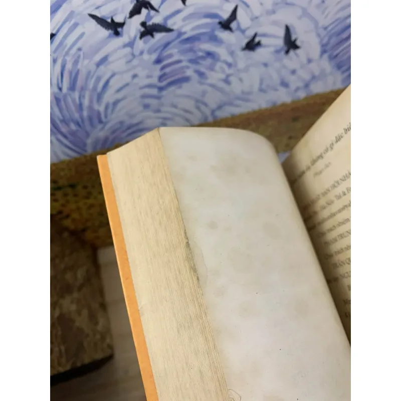 Trời Hôm Ấy Không Có Gì Đặc Biệt - Phan An 758685