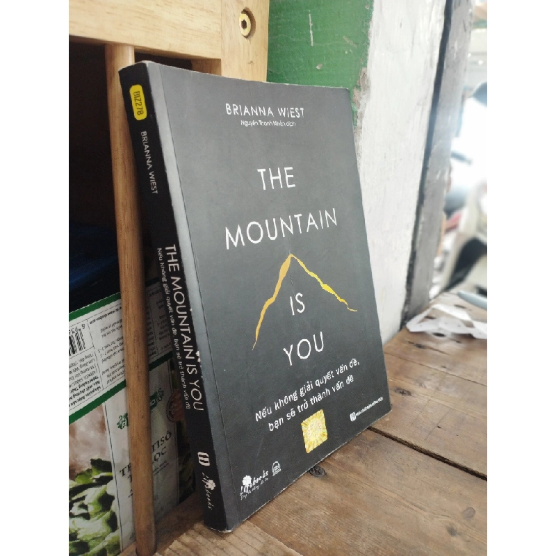 THE MOUNTAIN IS YOU - BRIANNA WIEST 305311