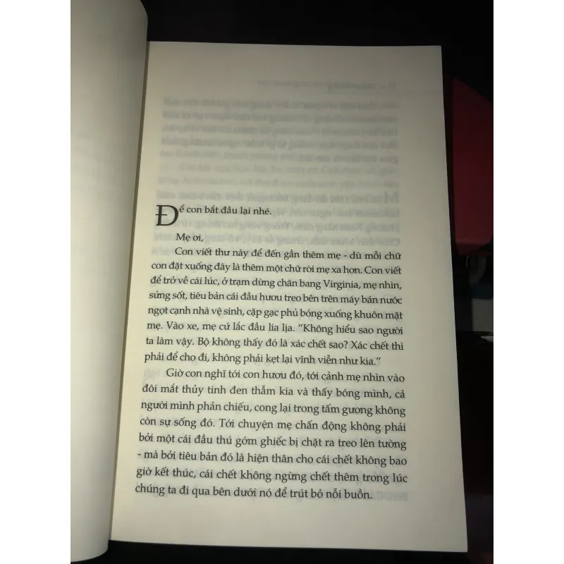 Một thoáng ta rực rỡ ở nhân gian - Ocean Vương 993571