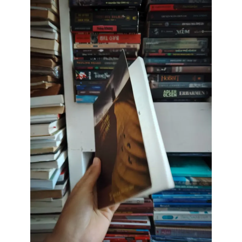 Đường vào ánh sáng đạo Phật 🌱 972898