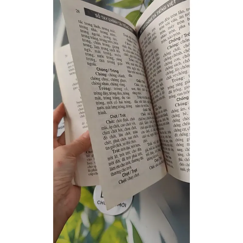 Sổ Tay Chính Tả Tiếng Việt - Ngọc - Xuân - Quỳnh 727282