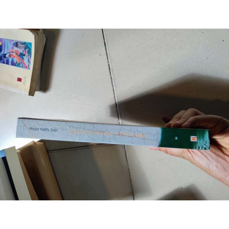 Thơ đoạn trường vô thanh của Phạm Thiên Thư 462917