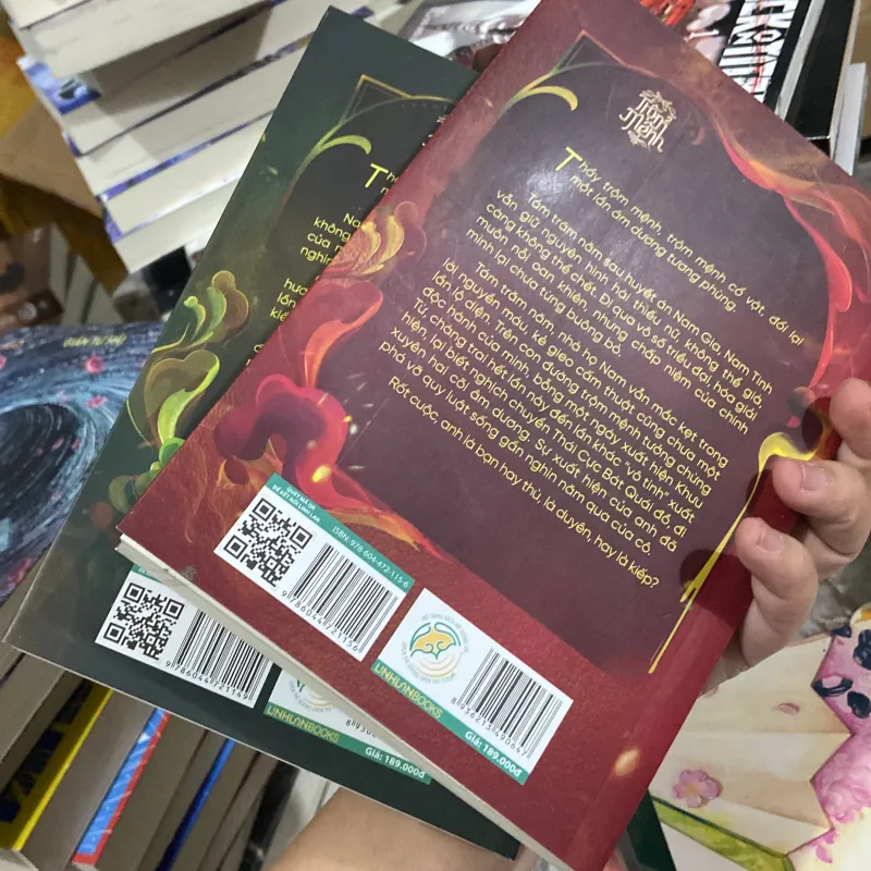 Trộm mệnh - Nhất Mai Đồng Tiền ( 2 tập ) 971077