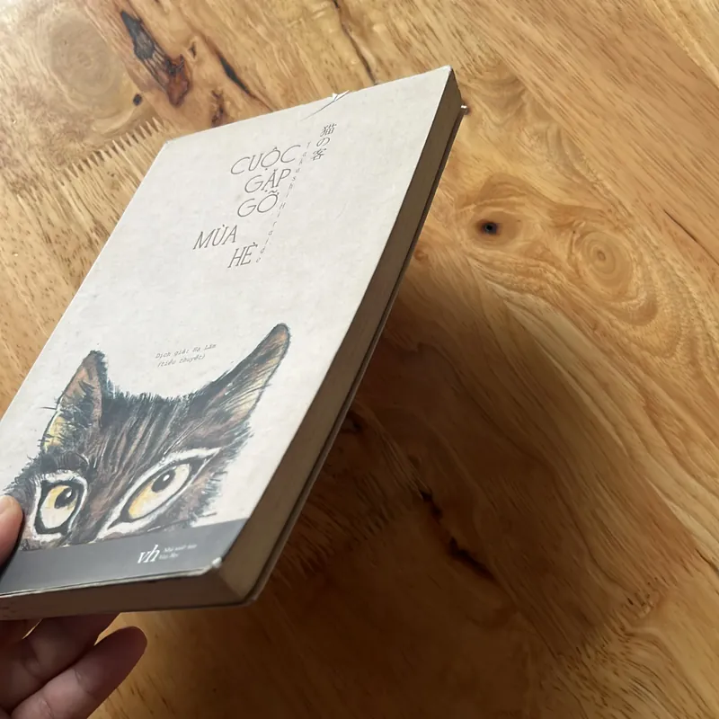 Cuộc gặp gỡ mùa hè 595859