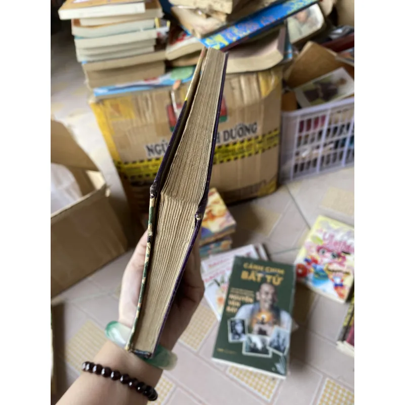 Những Cuộc Phiêu Lưu Của Xê-Muy-En Pinh" của tác giả Sergey Belyaev 976726