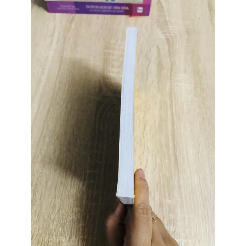 CHÍN CHÚA - MƯỜI BA VUA TRIỀU NGUYỄN  1006290