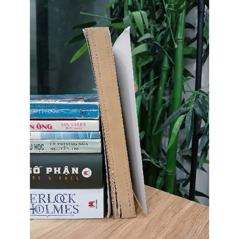 Khi mọi điểm tựa đều mất (Happy for No Reason) – Marci Shimoff & Carol Kline 570879
