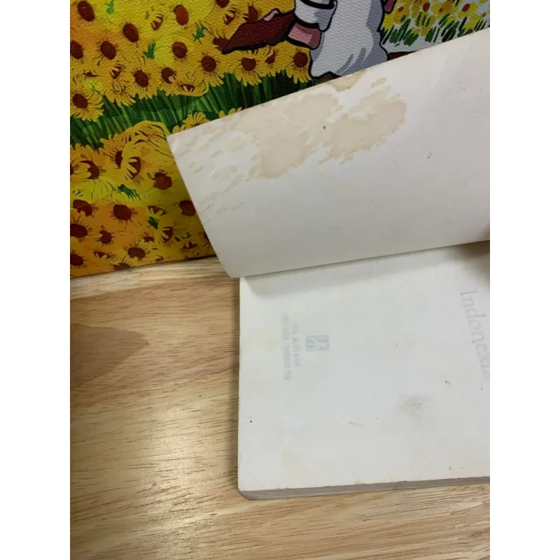 Truyện Cổ Đông Nam Á Indonexia 928030