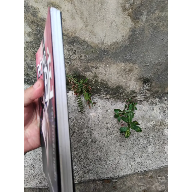 Bóng đè tập truyện của Đỗ Hoàng Diệu  1029199