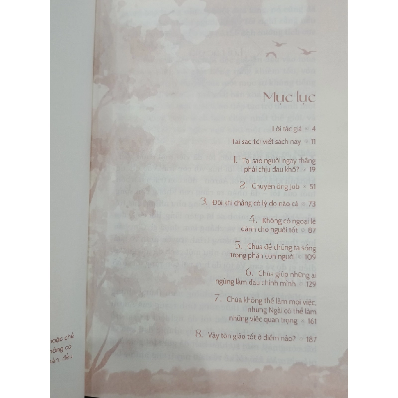 Khi nào điều xấu đến với người tốt - Harold S. Kushner (Phạm Như Lan dịch) 506611