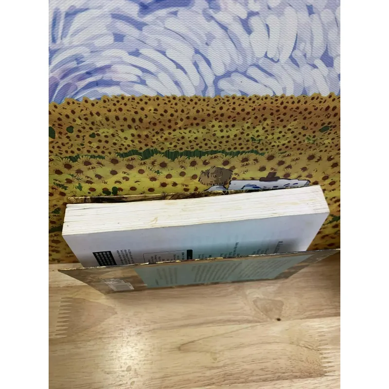 Bí Ẩn Tông Đồ Thứ Mười Ba - Míchel Benoit 715848