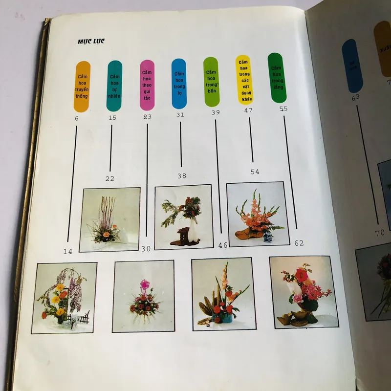 CẮM HOA- tìm hiểu tác phẩm và kỹ nghệ cắm hoa Trung Quốc  572788