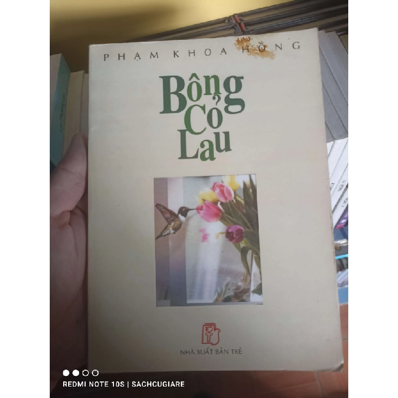 Bông cỏ lau - Phạm Khoa Hồng VAVO-K1D1 990106