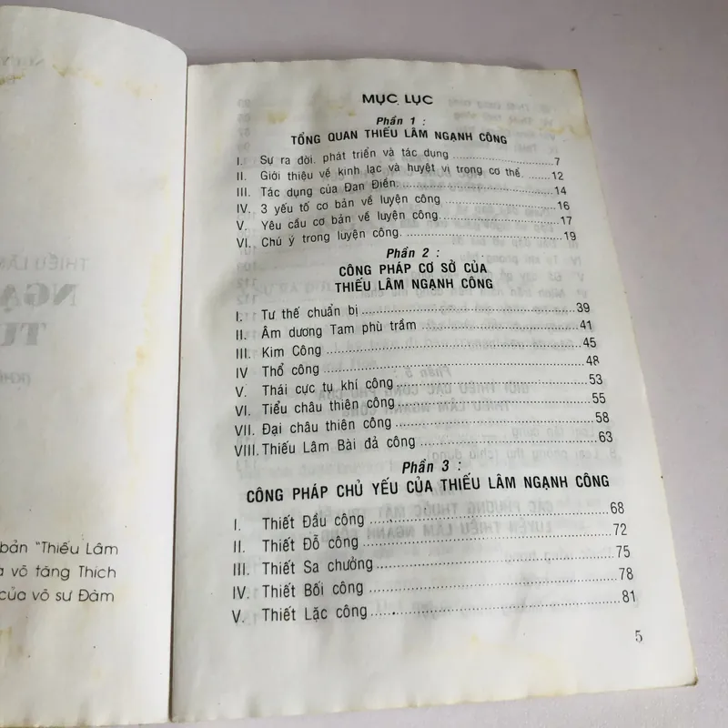 NGHẠNH CÔNG TUYỆT KỸ ( Võ Sư Nguyễn Tường) 697867