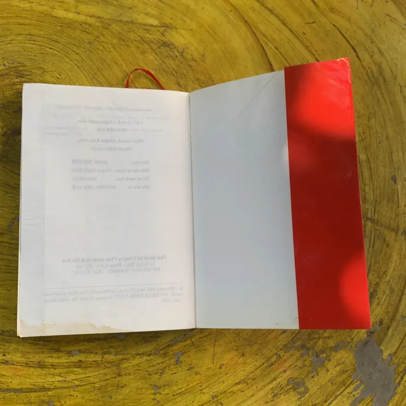 TIẾNG VIỆT CHO NGƯỜI NƯỚC NGOÀI- NGUYỄN ANH QUẾ  787173