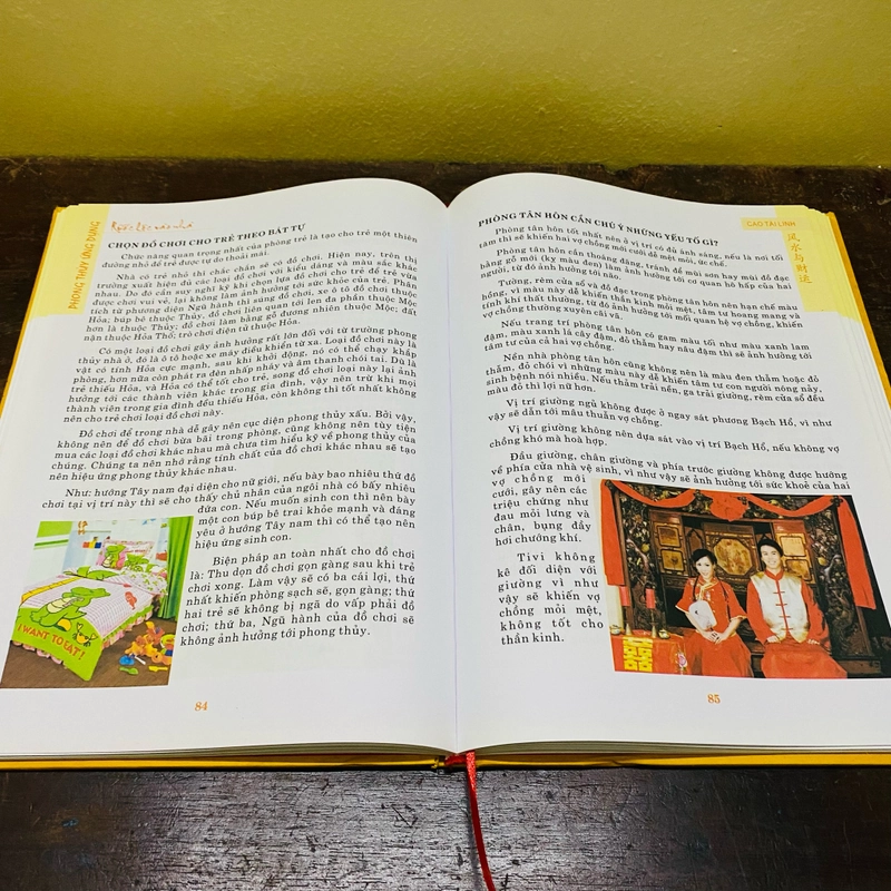 Phong thuỷ ứng dụng, rước lộc vào nhà - Cao Tài Linh 361550
