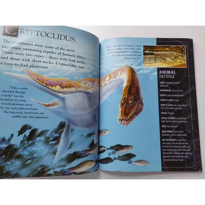 📚 PREHISTORIC WORLD – JURASSIC LIFE
🦖 712554