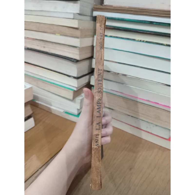 Quand la lampe s'éteint - Ngo Tat To 716306