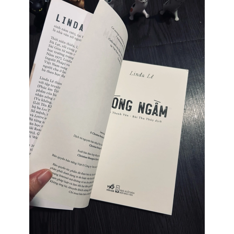 Sóng ngầm - Linda Lê 385193