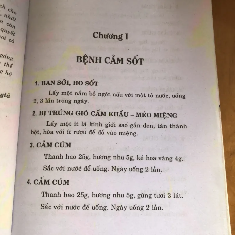 950 bài thuốc trị bệnh thường gặp 1000586