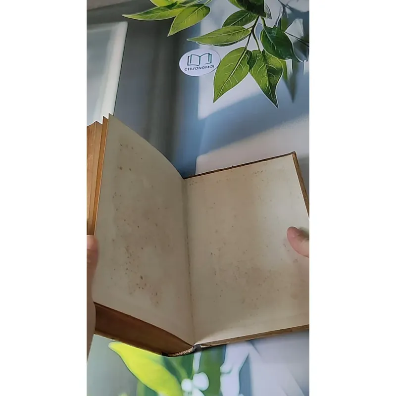 Người Thay Thế Chưa Tới (1986) - Nikolai Kambulev 607724