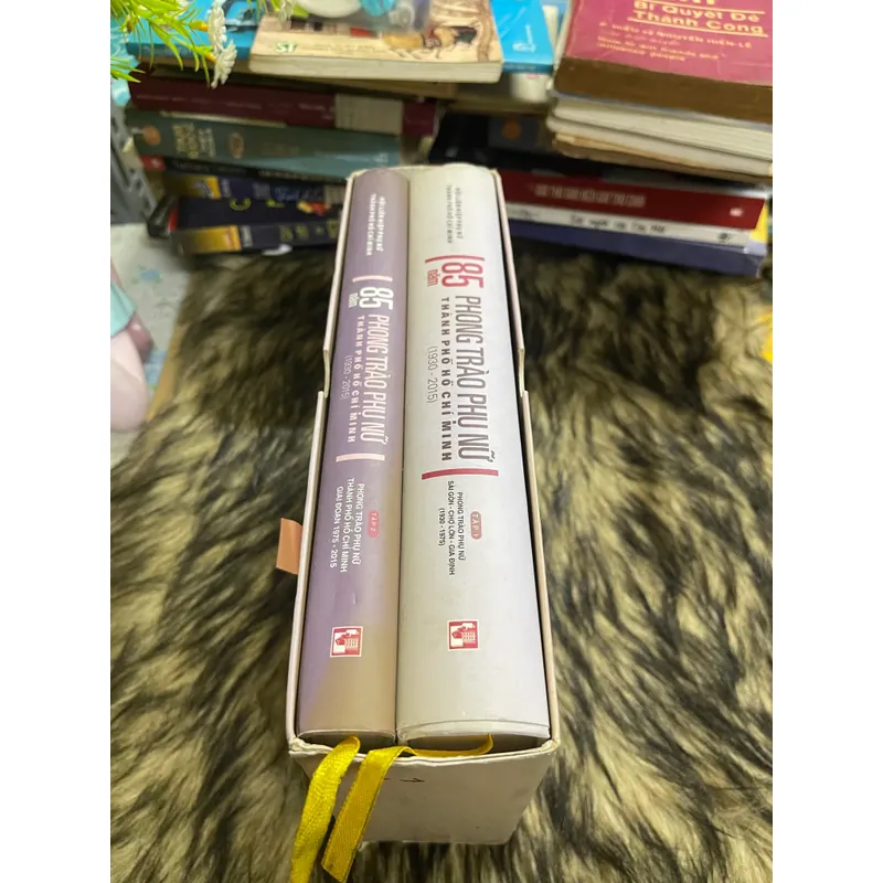 85 năm phong trào phụ nữ TpHCM 596862