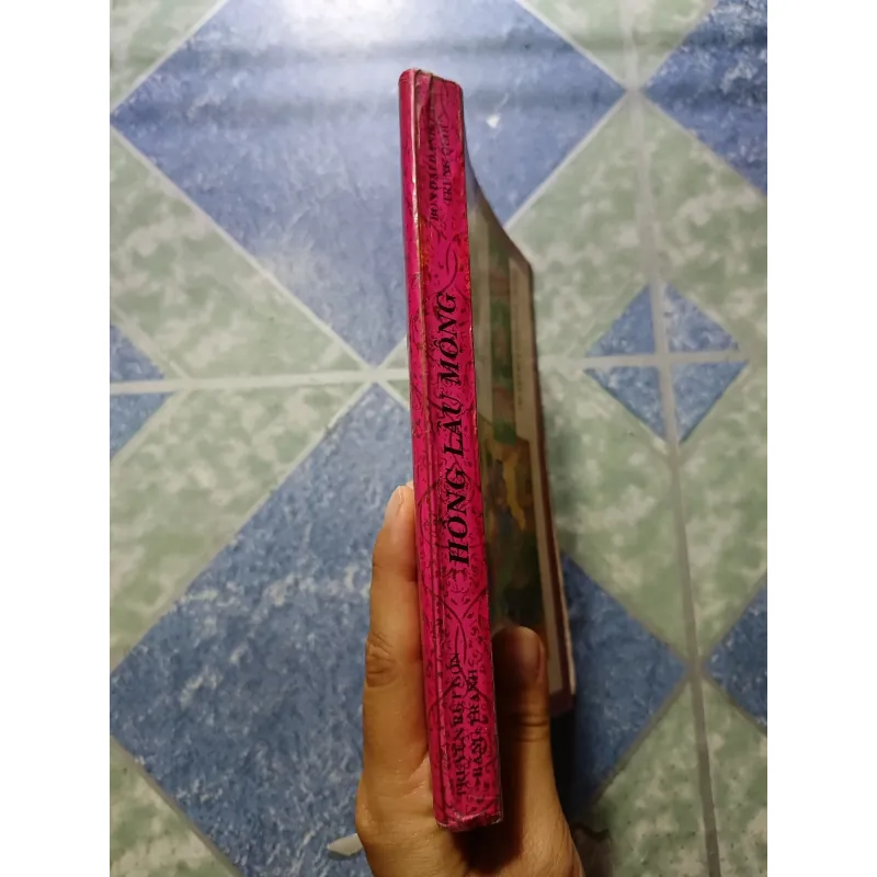 Truyện rút gọn bằng tranh - Hồng Lâu Mộng 1011098