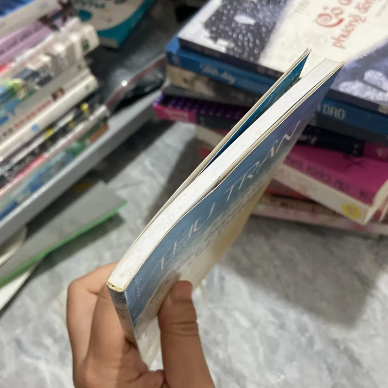 Khúc tráng ca dã tràng - Thu Trân 970790