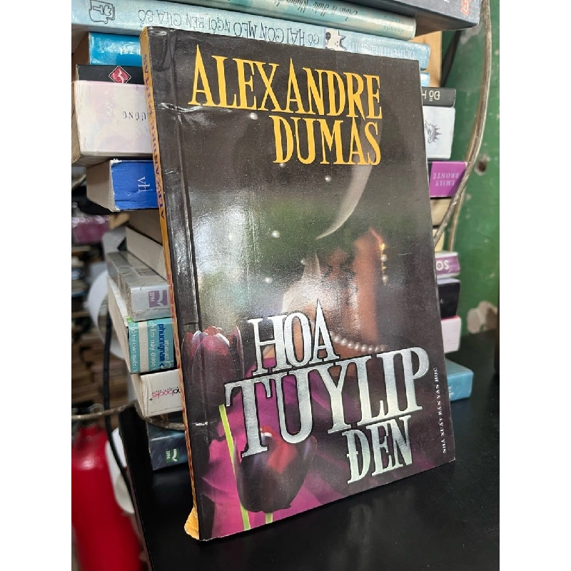 Hoa Tulip đen - Alexandre Dumas (Mai Thế Sang dịch) 470606