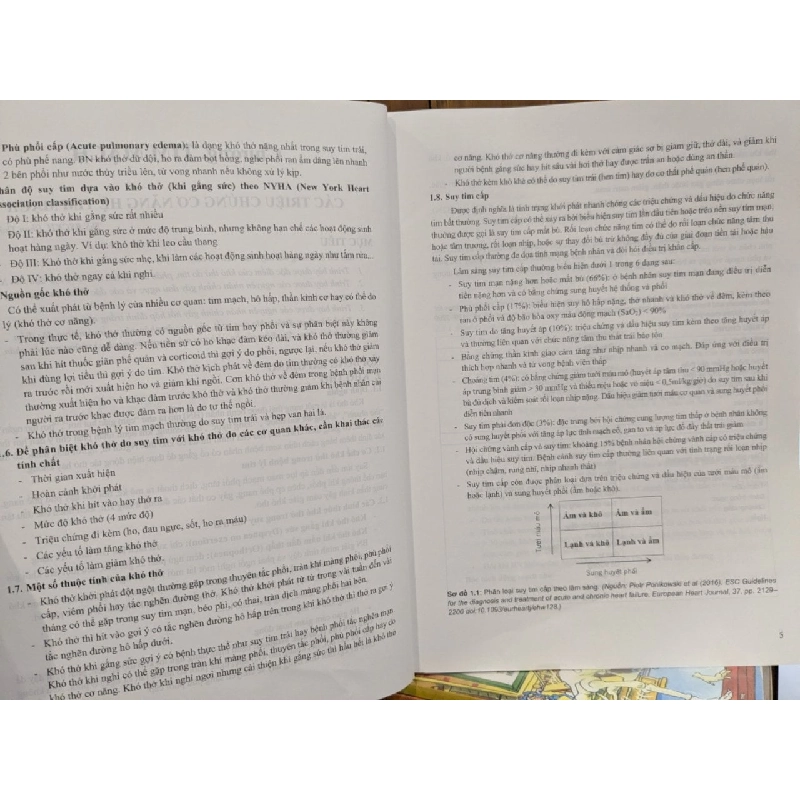 Triệu chứng học bệnh học nội khoa  - TS.BSCKII. Trần Thị Khánh Tường 745995