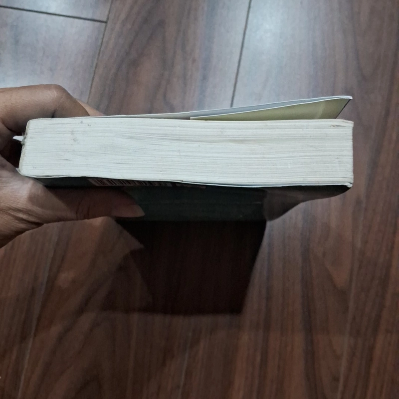Tử tước và em 504512
