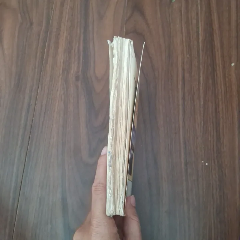 Những vụ mất tích bí ẩn của loài người 592978