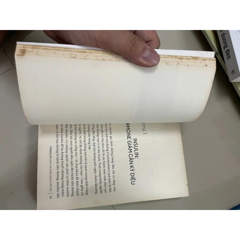 Thinsulin giảm cân đẹp dáng và suốt đời, Nguyễn Song Tuấn Tú Charles, mới 80% (Hoi-SBM) 30996