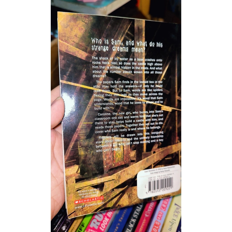 CHAPTER BOOK: ELEVEN 493017