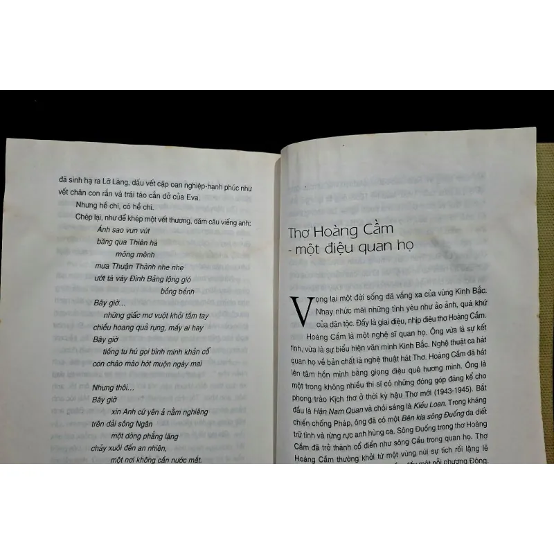 Thơ Hoàng Cầm  1028959