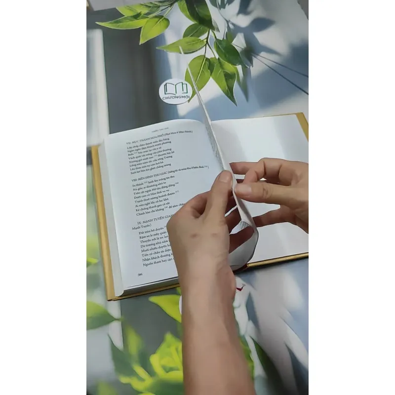 [MIỄN PHÍ BỌC SÁCH] Đinh Nho Hoàn: Thân Thế Và Sự Nghiệp - Hoàng Giáp 750797