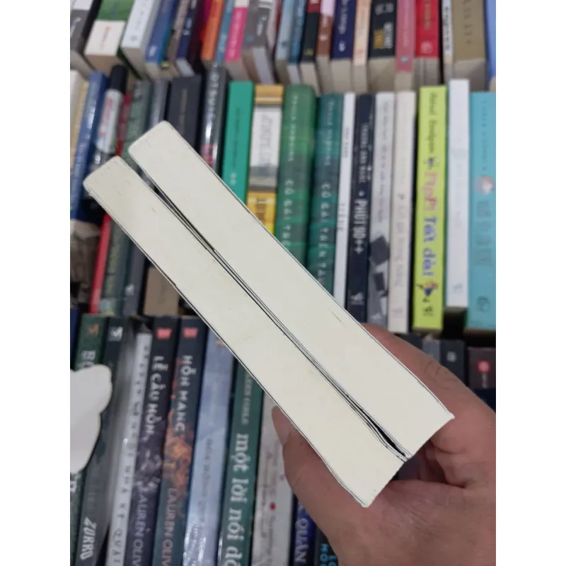 Con gái người canh giữ giấc mơ 930719