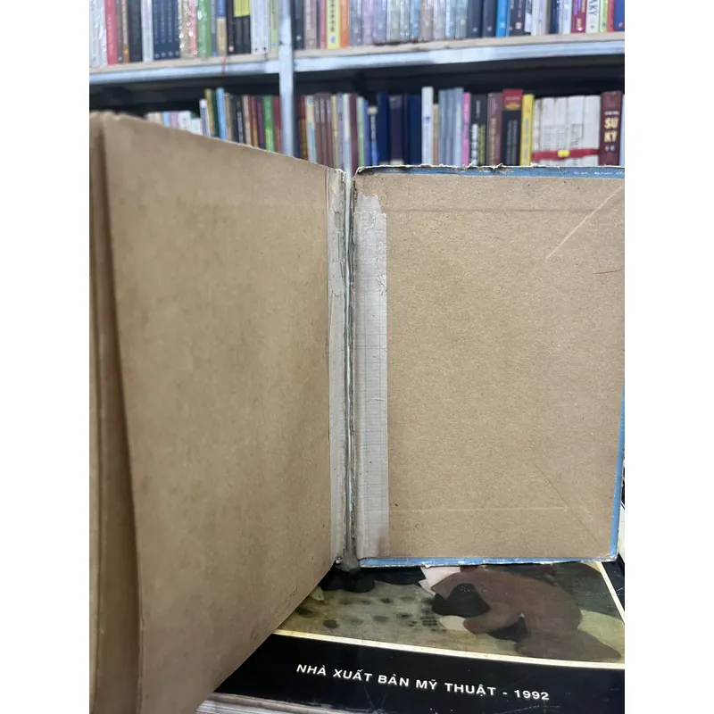 VIỆT NAM TÂN TỪ ĐIỂN 697656