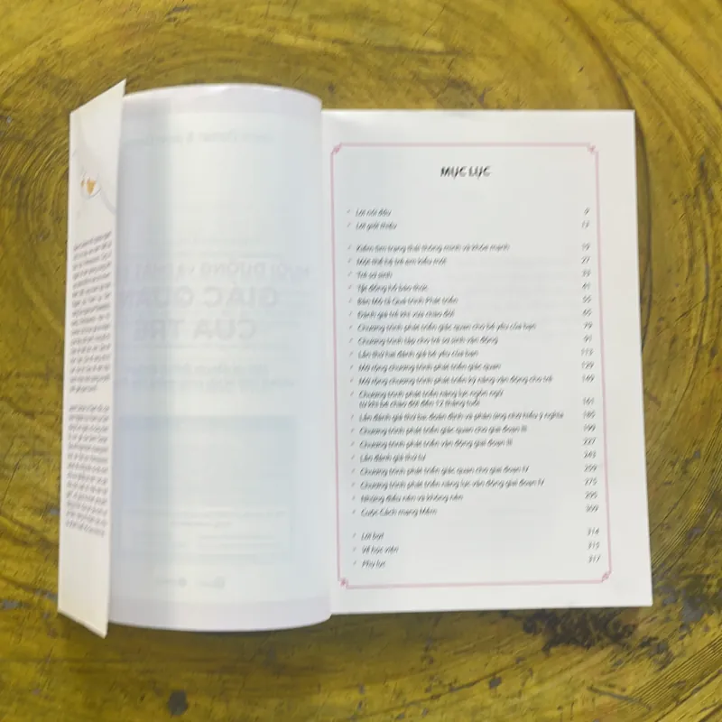 NUÔI DƯỠNG VÀ PHÁT TRIỂN GIÁC QUAN CỦA TRẺ - GLENN DOMAN & JANET DOMAN 998442