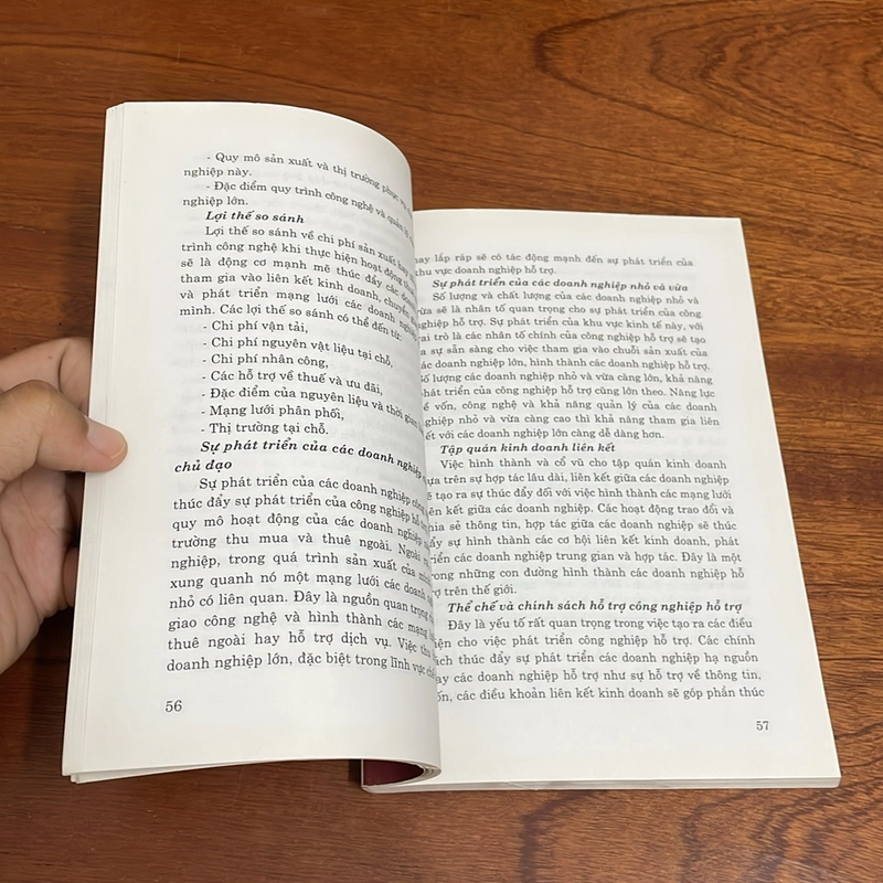 Phát Triển Công Nghiệp Hỗ Trợ Ở Việt Nam (Lý Thuyết, Thực Tiễn, Chính Sách) - Lê Thế Giới 507786