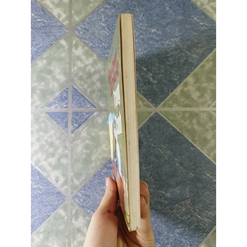 Giai thoại và sấm ký Trạng Trình - Phạm Đan Quế 756028