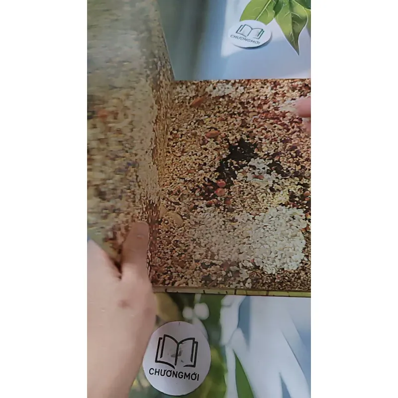 [Tặng nẹp góc] Truyện thiếu nhi Hàn Quốc: Moyamo Anu 56 -  모야모 아누와: 카멜레온에게 혼쭐난 아난시 732060