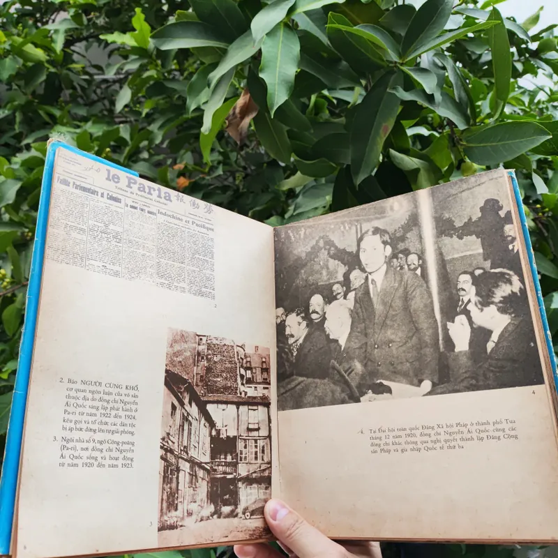 Dưới Lá Cờ Vẻ Vang Của Đảng 706340