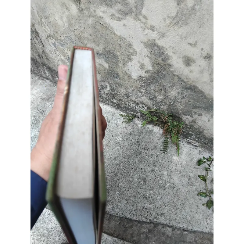 Tăng San bốc dịch  1033256