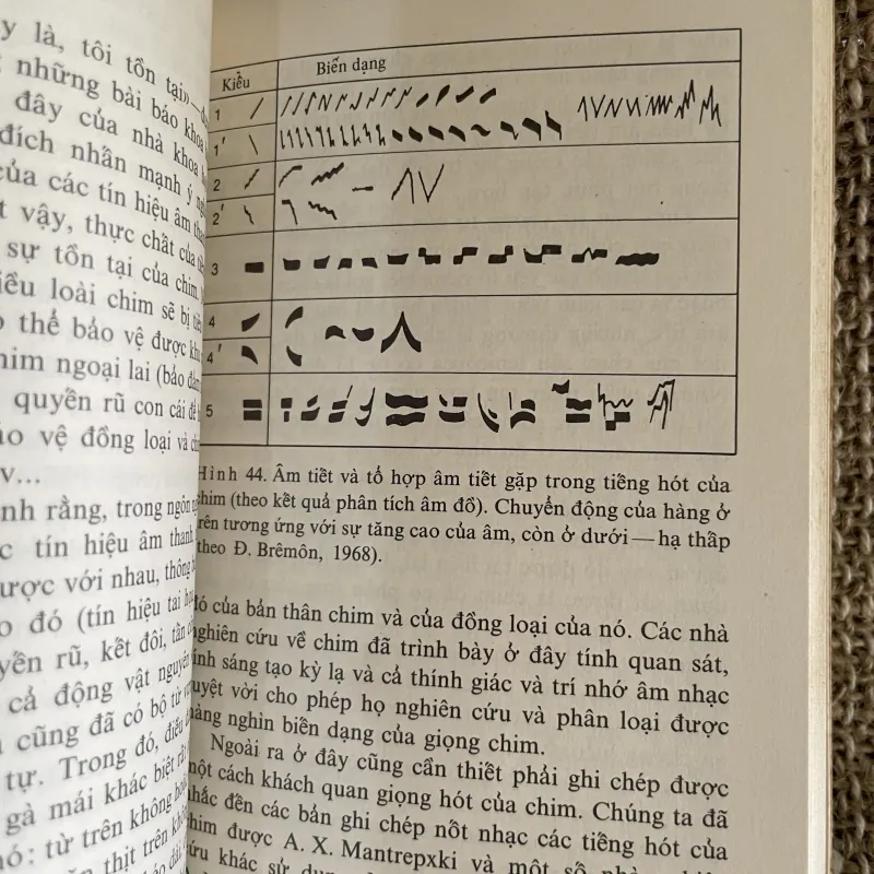 Âm sinh học lý thú- dịch từ tiếng Nga  1026243
