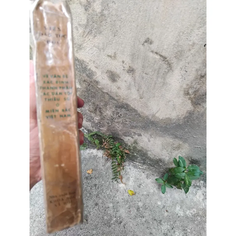 Về vấn đề xác định thành phần các dân tộc thiểu số ở miền Bắc Việt Nam  1019173