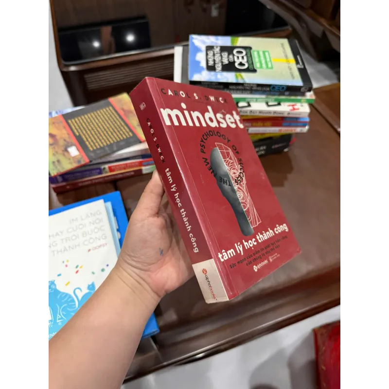 MINDSET – TÂM LÝ HỌC THÀNH CÔNG | Carol S. Dweck | Sách phát triển bản thân bán chạy - K4 1022660