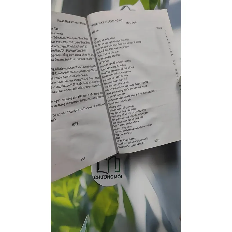 Ngọc Hạp Chánh Tông - Viên Tài - Hà Tấn Phát 776198